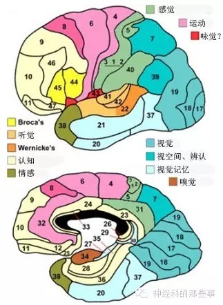 如何让你在潜在客户的心智中与众不同