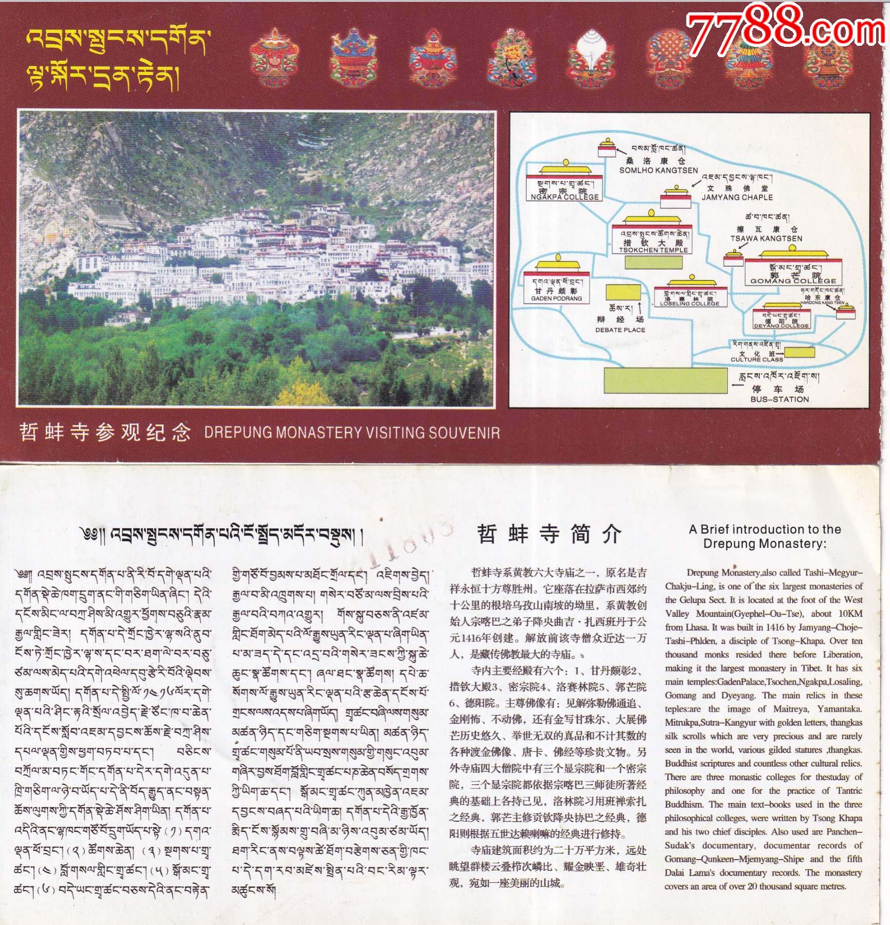 南糯山半坡老寨_勐海县南糯山茶厂_山南