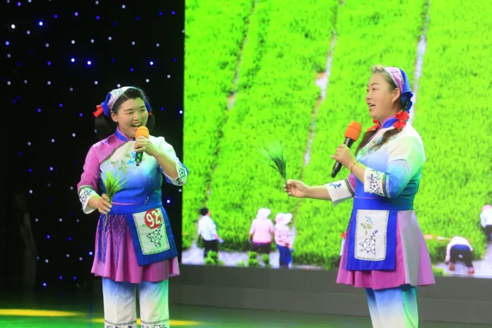 淮安和芜湖的经济实力有哪些？有什么特点？