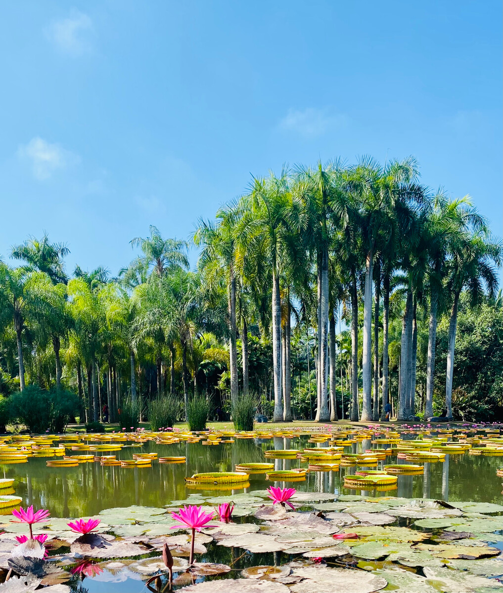 西双版纳机场叫什么_昆明到西双版纳火车_西双版纳