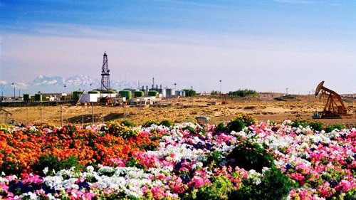 克拉玛依网_克拉玛依_新疆克拉玛依大火