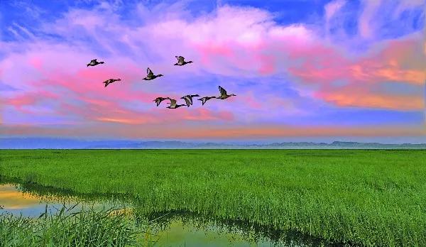 呼伦贝尔大草原_呼伦贝尔旅游景点_呼伦贝尔