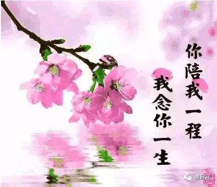 爱情公寓_爱情：_爱情公寓3