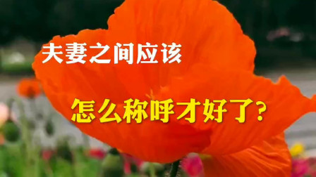 这三种称呼，也会成为两人相爱的见证！你有吗？