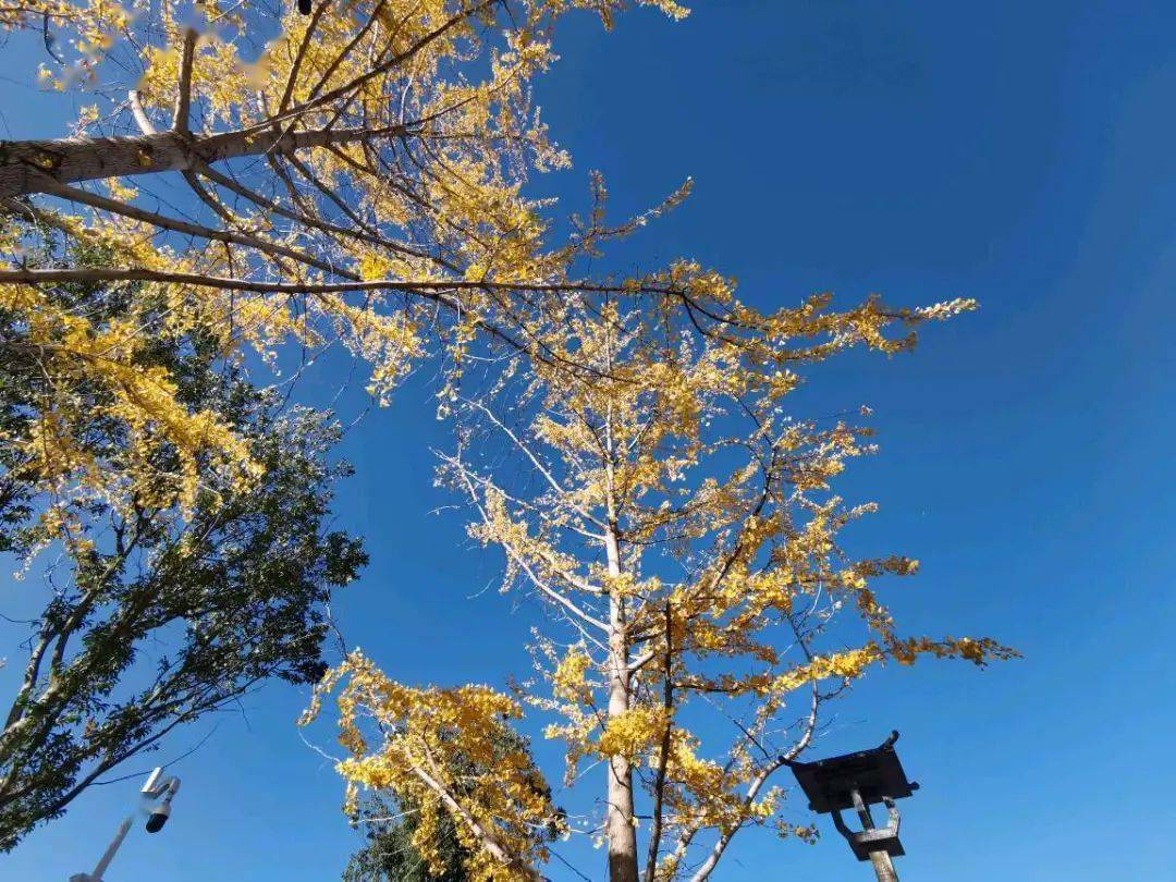 昭通到重庆_昭通_昭通一中