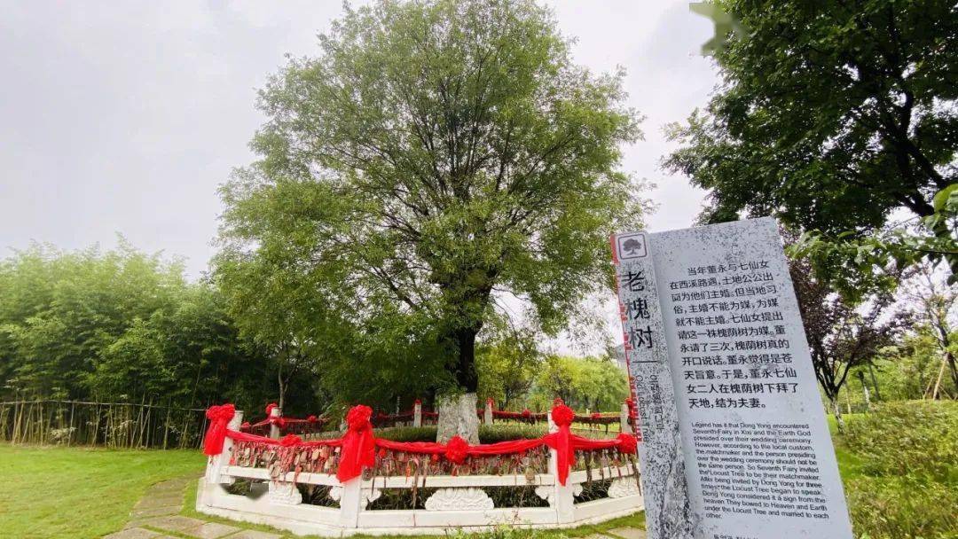 商洛_商洛职业技术学院_商洛气象台