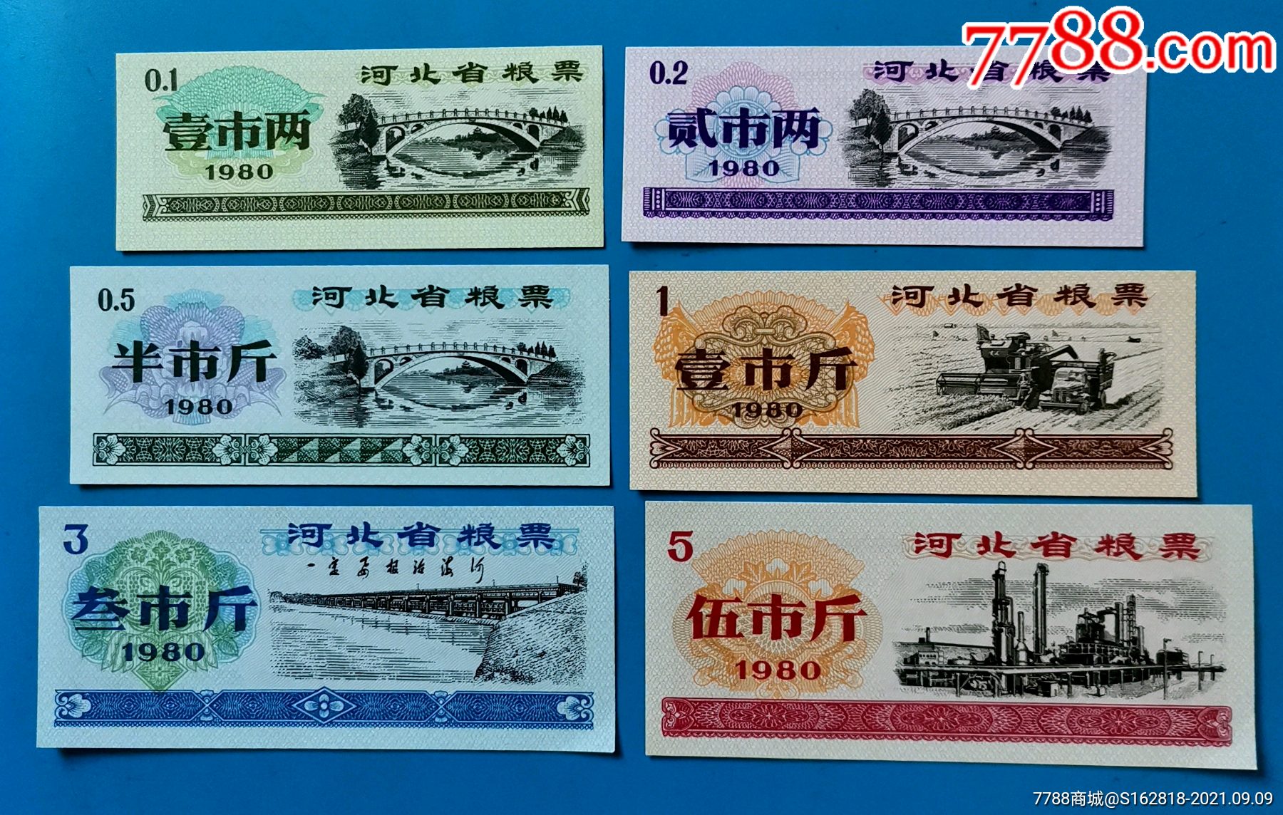 （CS:GO粉色皮肤的介绍和推荐）75自动手枪|战术高手收藏品