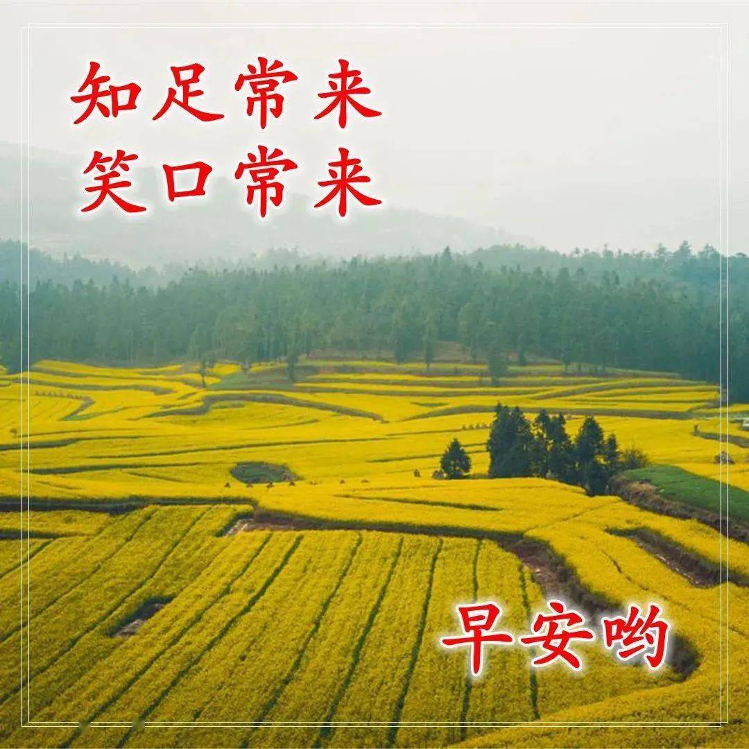 女人如书_女人：_女人花歌词