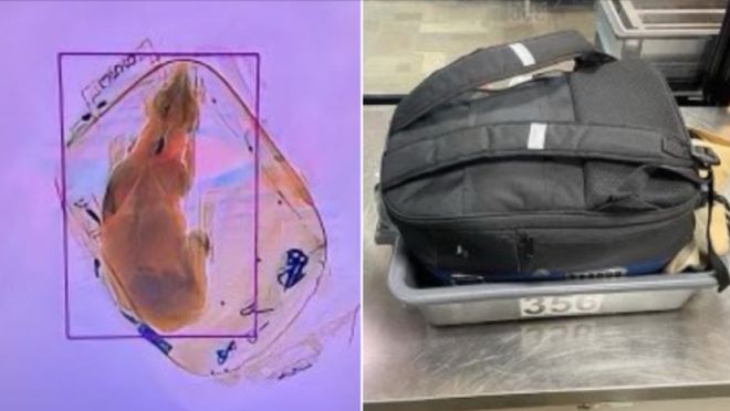免费：_免费咨询男科_免费阅读执掌风云小说