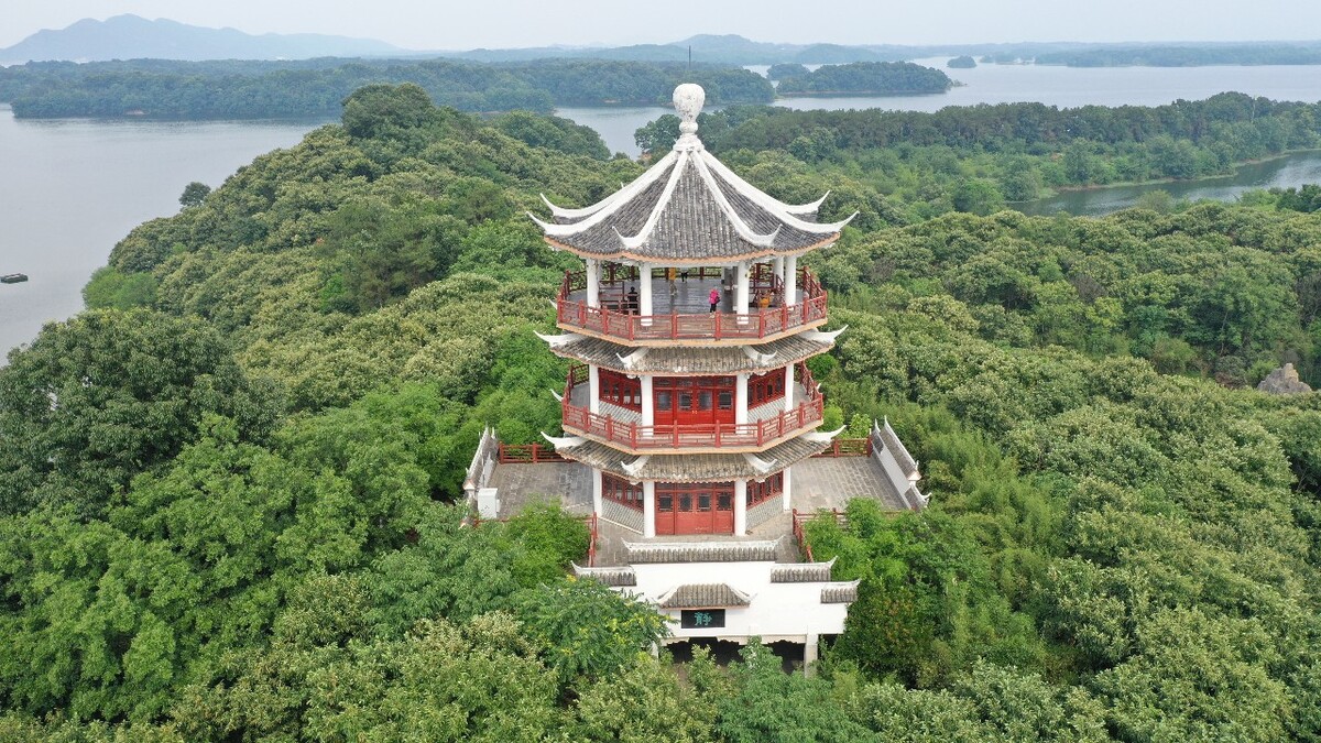信阳红茶_信阳_信阳到信阳东站