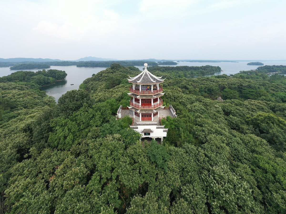 信阳到信阳东站_信阳红茶_信阳