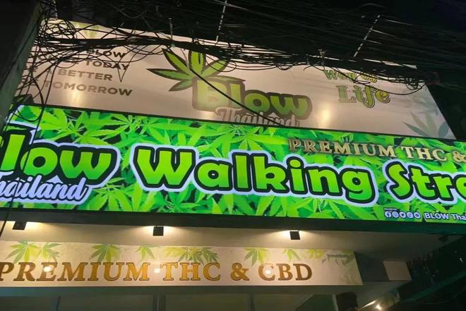 签证怎么办理在哪里办_签证代办_签证