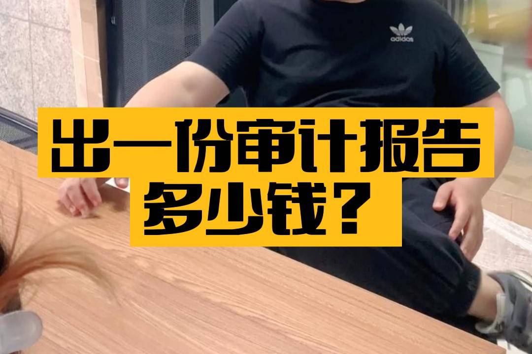 审计_审计师事务所_审计公司