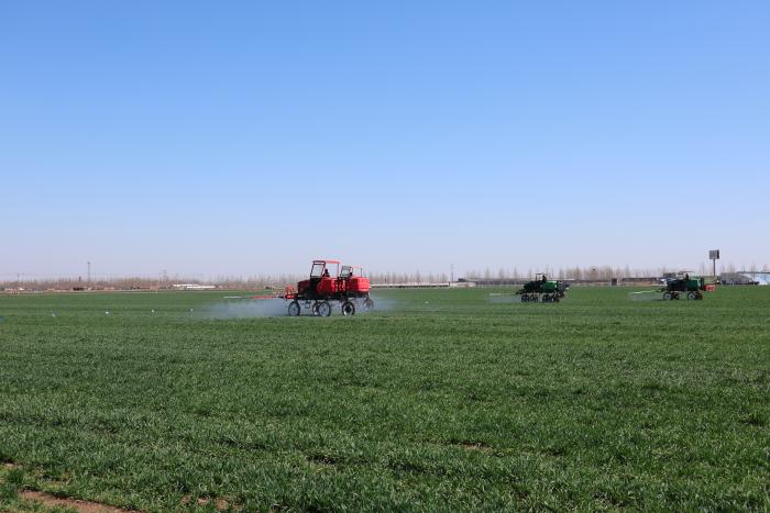 粮食作物油料作物_粮油作物_粮油兼用作物