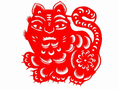 属虎的人谨慎乐观乐观寡言，重视事业！！
