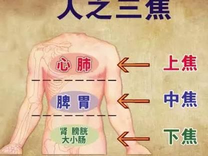 中医_中医_中医治肿瘤全国排名第一