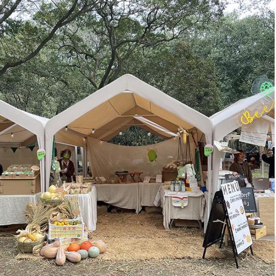 庆典礼仪展示设计案例_庆典仪式礼仪_礼仪庆典