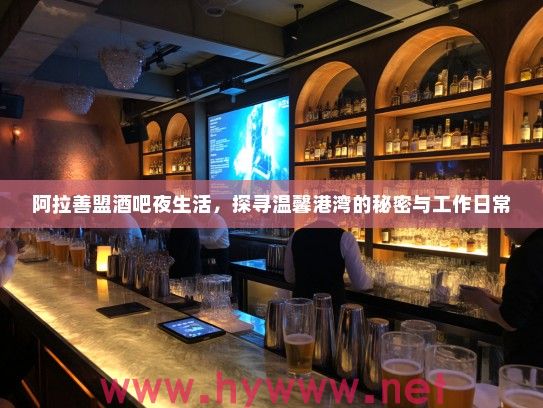阿拉善盟酒吧夜生活，探寻温馨港湾的秘密与工作日常