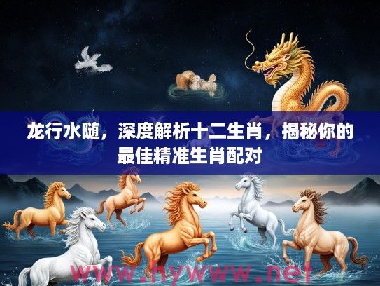 龙行水随，深度解析十二生肖，揭秘你的最佳精准生肖配对