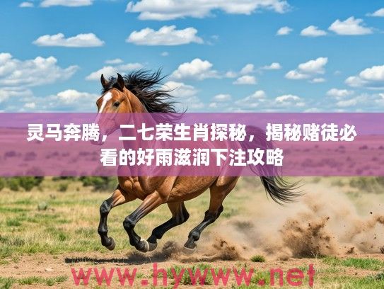 灵马奔腾，二七荣生肖探秘，揭秘赌徒必看的好雨滋润下注攻略