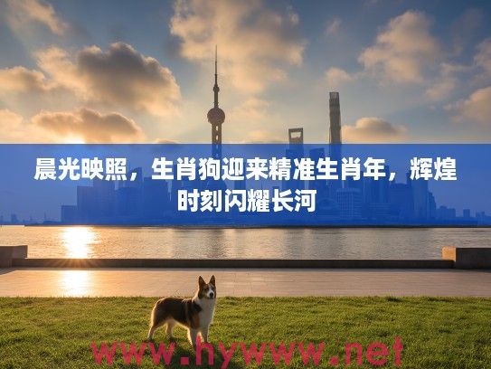 晨光映照，生肖狗迎来精准生肖年，辉煌时刻闪耀长河
