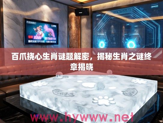 百爪挠心生肖谜题解密，揭秘生肖之谜终章揭晓