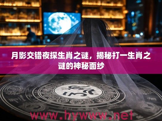 月影交错夜探生肖之谜，揭秘打一生肖之谜的神秘面纱