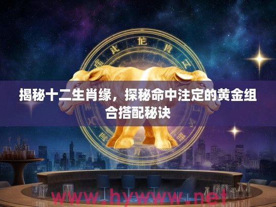 揭秘十二生肖缘，探秘命中注定的黄金组合搭配秘诀