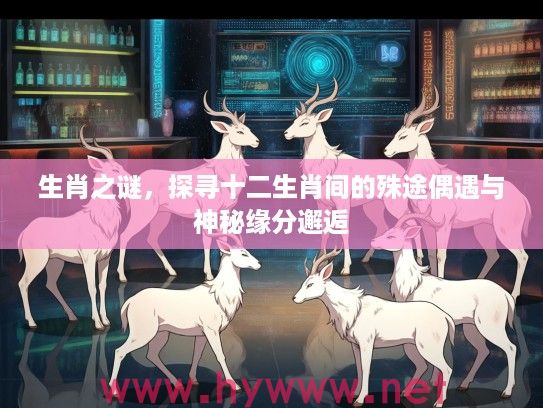 生肖之谜，探寻十二生肖间的殊途偶遇与神秘缘分邂逅